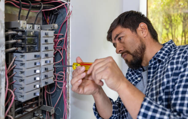 Best Local Electrician Companies  in Darien, GA